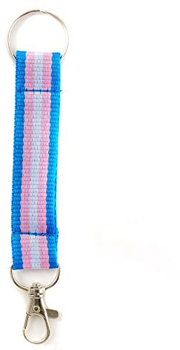 Everflag Regenbogen Schlüsselband Transgender mit Karabinerhaken und Ring 11cm lang