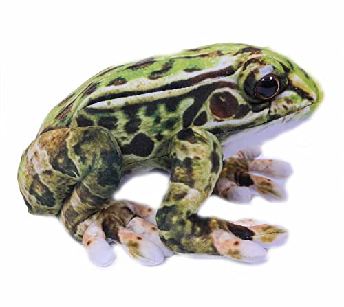 PIA Plüschtier Frosch 24 cm, grün, Frösche Stofftiere Plüschtier Kuscheltier Pfeilgiftfrosch