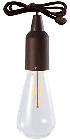 PUNELE Pull Cord Light Bulb,Battery Powered LED Pull Hang Bulb,Portable Hanging Lantern Outdoor Light Emergency Lamp Battery Operated for Indoor Outdoor Camping Room (C)