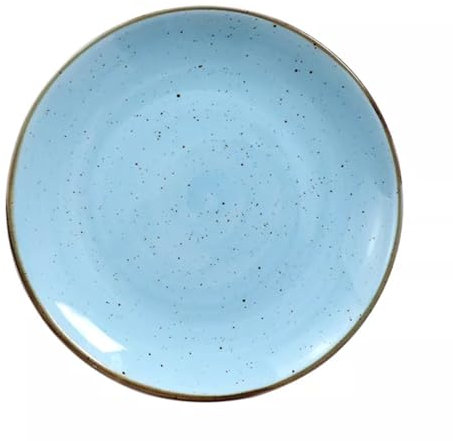 V&M Catering Assiettes porcelaines bleu, 25,4 cm, assiettes bol céramique adapté au Lave-vaiselle et micro-onde (4)