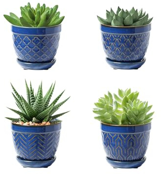 Sureasy Macetas suculentas, macetas de 3.5 pulgadas para plantas de interior, macetas pequeñas con platillo y drenaje, macetas decorativas de cerámica para suculentas, cactus, juego de 4, azul