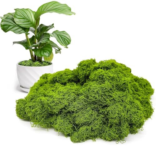 KPSRFG Fake Moss for Indoor Planters and Plant Pots - 150g Realistic Artificial Moss Decor for Crafts, Easter, Home & Garden