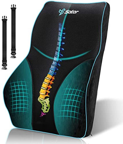 POOTACK Lumbar Support Cushion, Memory Foam Back Support Cushion Lumbar Support for Office Chair, Car Seat, Recliner, with Extension Strap and Mesh Cover