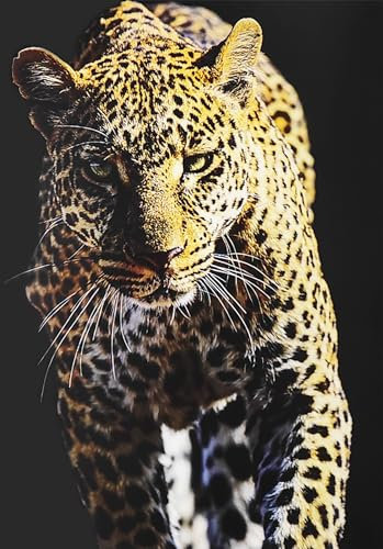 KUSTOM ART Dekoratives Wandposter Serie Tiere Leopard Kunstdruck auf beschichtetem Papier 42 x 30 cm ohne Rahmen