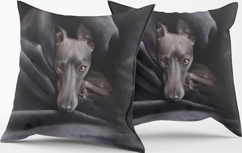 HOME ZEN HOUSEHOLD LINEN 1 Paar Kissenbezüge für Dekoration Art Puppy, Größe 42 x 42 cm, mit Reißverschluss, Digitaldruck, mit Freund 4 Pfoten (Windhund)