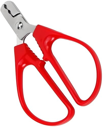 Pinza per schiacciare semi di melone, pinze per semi di girasole, per aprire semi di melone, noci piccole, schiaccianoci