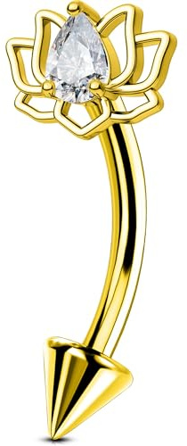 OUFER Body Piercing 16G Rook Earring 316L Stainless Steel Curved Barbell Piercing for Women Men Helix Daith Tragus Ear Lip Eyebrow Belly Rings Labret Piercing Jewellery