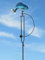 POMMERNTRAUM ® | Windspiel | Vogelwippe | Gartenpendel | Gartenstecker | Gartendekoration | Gartenkunst | Metall | Fisch Fische Kois Karpfen Zierfische (Koi - blau)