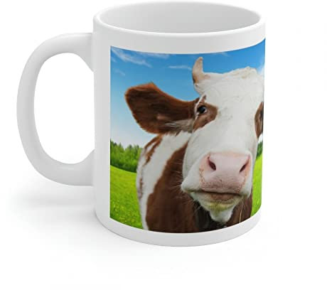 Jm-Déco Mug Vache - Idée Cadeau - Tasse Originale en céramique