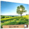 TRIOSK Sichtschutz Garten Deko Zaun Plane Blickdicht groß mit Zaunblende Motiv Sommer Blumen Wiese für Zaunelement Doppelstabmatten Stabmattenzaun Gartenzaun PVC 250x180 cm