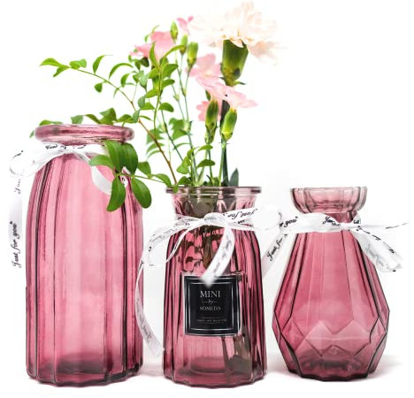 SOMEDA® Vasen Set 3 Stück/Verschiedene Größen und Formen/Moderne Blumenvasen/transparent, rot oder grau/Deko Wohnzimmertisch (3X Rot)