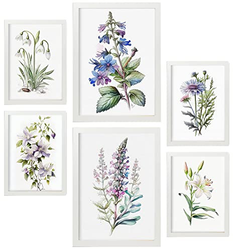 Nacnic Posters de Lilas. Ilustraciones A Todo Color de Naturaleza y Botánica con Temas Florales sobre Fondo Blanco. Diseño Moderno para la Decoración de Interiores. A4 & A3 Marcos Blancos.