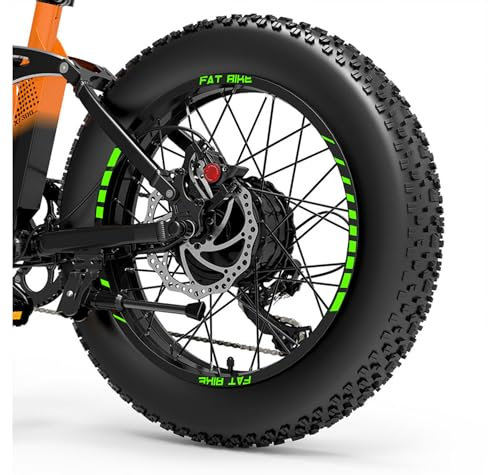DualColorStampe Aufkleber-Set für Fat Bike, 20 Zoll (50,8 cm) Rad, Zubehör, kompatibel mit Fat-Bike, MTB-Set, Felgen, Artikelnummer: B0195 (fluoreszierendes Grün)
