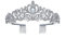 EVER FAITH Diadem Tiara Krone Tropfen österreichischen Kristall Prinzessin elegant Haarschmuck Haarband für Quinceanera Prom Geburtstag Hochzeit