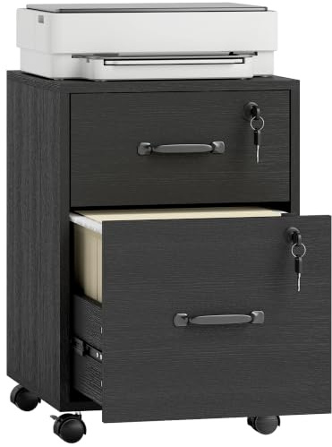 HOMCOM Rolling File Cabinet with 2 Drawers Hanging File Folder Black | Mobile Filing Cabinet, for Letter Sized Documents