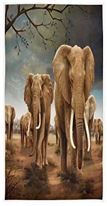 HMZXZ RXYY Handtücher Baumwolle Afrika Wildlife Elefant Weiches Handtuch Mehrzweck-Badetuch Strandtuch für Zuhause Küche Schwimmen Spa Gym 76,2 x 38,1 cm