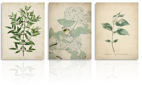 Dazzlewall Vintage Botanical Leinwand Bilder Green Wandbilder für Schlafzimmer Wohnzimmer Dekor 30X40 cm Ohne Rahmen 3er Set