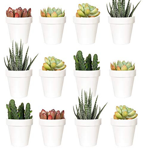 Youngever Confezione da 24 mini vasi da 5 cm in plastica, per interni, vaso da giardinaggio bianco con drenaggio, pianta non inclusa (classica)