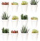 Youngever Paquete de 24 Mini macetas de plástico de 5 cm, macetas de Flores de Interior, Maceta de jardinería Blanca con Drenaje, no Incluye Planta (clásica)