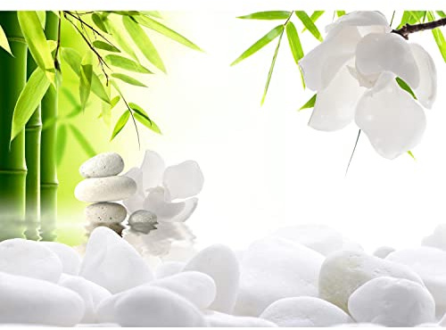Runa Art Fototapeten 396 x 280 cm Blumen Feng Shui - Vlies Wanddekoration Wohnzimmer Schlafzimmer - Deutsche Manufaktur - Grün Weiss 9300012a