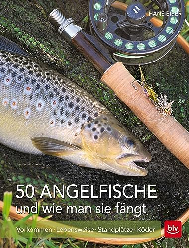 50 Angelfische und wie man sie fängt: Vorkommen, Lebensweise, Standplätze, Köder