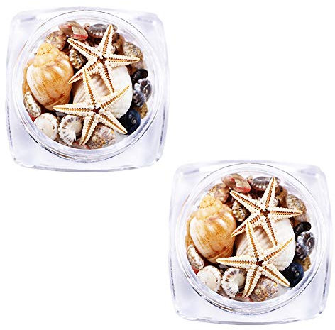 2 Boxes 3d Natural Nail Art Decoration Mini Conch Shells Starfish Sea Beach Ornaments Manicure Tools for Diy