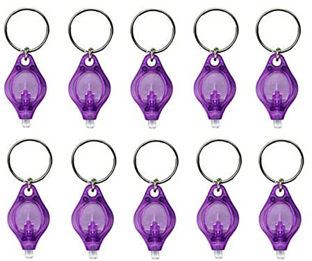 MACHSWON 10PCS Mini Keychain Torches Flashlight UV Money Checker Key-Chain LED Money Detector Light Key Ring Light Torch Purple