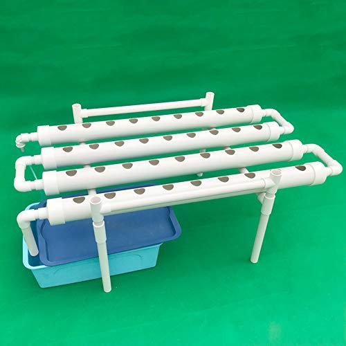 Loobiiny Idroponica Verticale 1 Strati 36 Posizioni Torre Idroponica 3,5 * 4,5 Cm Cesto di Impianto di Coltivazione Idroponica Giardino Verticale Grow Box Kit Completo Esperimento Idroponico