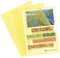 Exacompta 58529E 100er Pack PP-Kunststoff Aktenhüllen. Für DIN A4 transparent genarbt gelb oben und seitlich offen Plastikhülle Klarsichthülle für Büro und die mobile Organisation