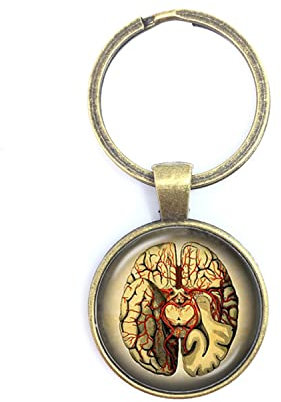 Schlüsselanhänger mit menschlicher Anatomie, Gehirn, Glas-Cabochon, seltsam, coole Wissenschaft, personalisierter Arzt-Anhänger, kreatives Geschenk, Schlüsselanhänger, braun, 25