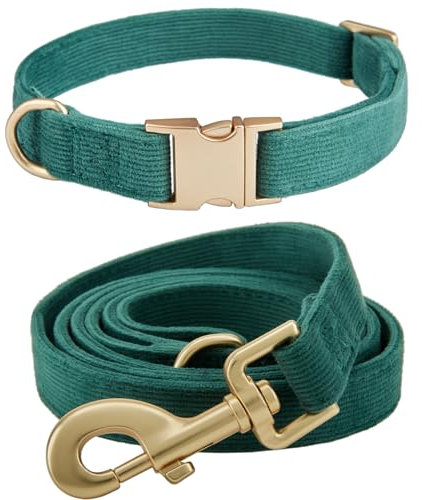 YUDOTE Hundehalsband und Leine Set Klein, Weiche Reizfreie Cord-Halsband-Leine Passende Combo für Den Täglichen Spaziergang, Grün