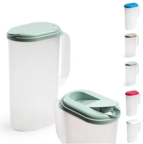 Plastic Slimline Fridge Jug with Lid Water Milk Juices Kitchen Home Door Picnic Jugs Pitcher of Water Clip & Lock Seal Dishwasher Freezer & Microwave Safe (Frost with Mint Green Lid, 2L)
