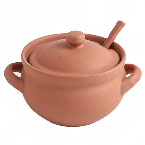 Dowbom Bols à soupe avec couvercle, passent au four, micro-ondes avec cuillère, tasse à soupe (orange, 414 ml)