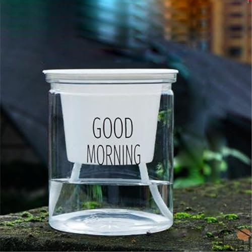 Vaso Semi Idroponico, Vasi da Fiori in Plastica Trasparente per Casa Ufficio, Vaso da Fiori in Plastica per Piante da Interno, Irrigazione Autoassorbita (Fondo piatto)