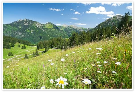 Posterlounge Almwiese Allgäuer Alpen Poster von bildpics 30 x 20 cm Grün Wandbilder Wanddeko
