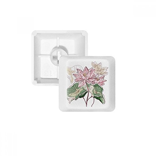 DIYthinker Lotus Flower Lotus Root Aquarell Pflanze PBT Keycaps für mechanische Tastatur Weiß OEM Keine Markierung drucken