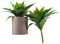 XZJMY Pianta artificiale di agave piante artificiali di agave finta, piante grasse resistenti ai raggi UV, per decorazione per casa, ufficio, negozio (verde, 2 pezzi)
