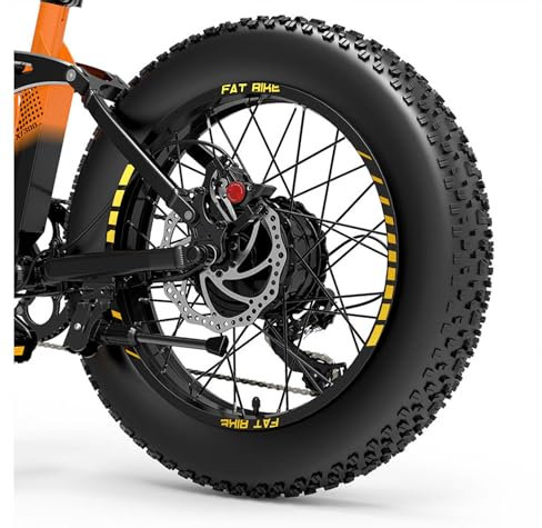 DualColorStampe Aufkleber-Set für Fat Bike 20 Zoll (50,8 cm) Rad, Zubehör, kompatibel mit Fat-Bike, MTB-Set, Felgen, Artikelnr. B0195 (Gold 91)