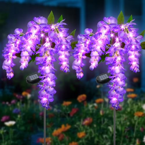 Ninonly Solarlampen für Außen Garten, 2 Stück Glyzinien mit Lila LED, 2 Modi Solarleuchten Draußen, Wasserdicht Blumen Gartenlampen Outdoor, Garten Deko für Yard Rasen Terrasse Weihnachten