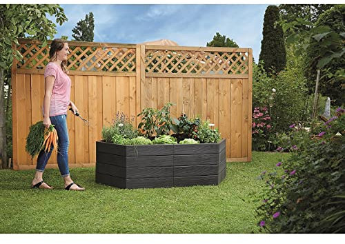 2 Carrés Potager Avec 2 Sets D'extension - 995212