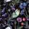 ReWallpaper Schwarze Tapete mit Blumen Selbstklebende Tapete Schwarz Floral Dunkel Blaue Blumentapete 44.5cm X 3m Klebefolie Möbel Blumen Folie Selbstklebend Basteln Schwarze Folie für Möbel Muster