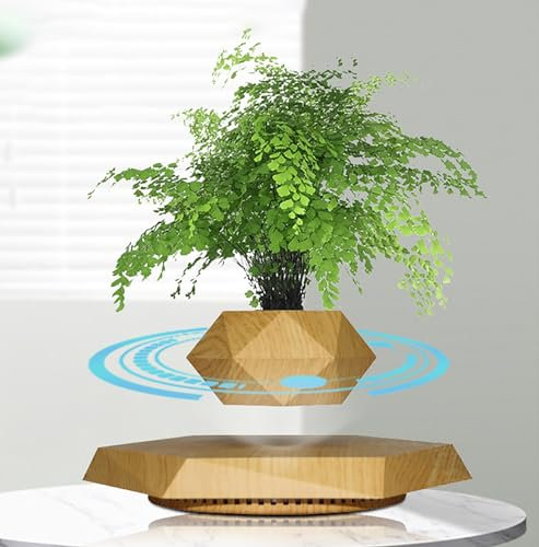 GCZQYAM Maceta de levitación magnética, maceteros giratorios, Planta Flotante en Maceta, para Plantas pequeñas, decoración de Escritorio de Oficina y habitación
