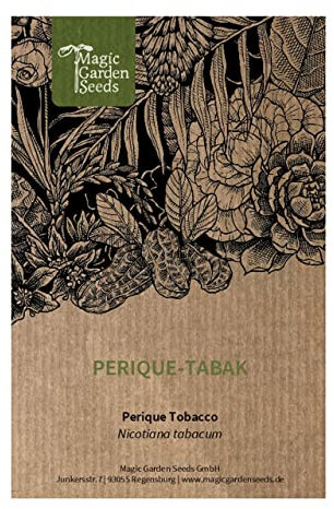 Tabacco Perique (Nicotiana tabacum) - circa 500 semi