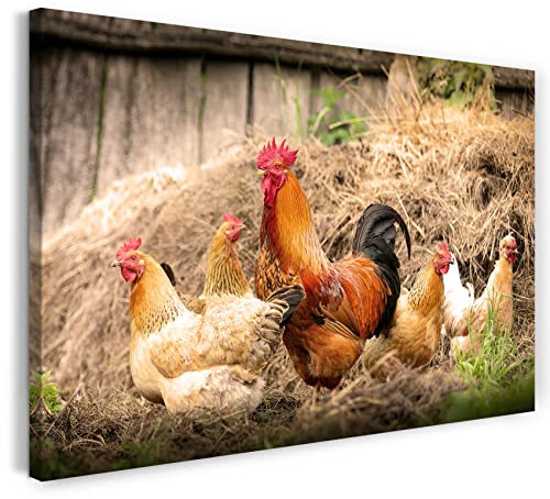 Printistico Leinwandbild (60x40cm) Hahn und Hühner, Natur Bauernhof Wald, warme Farbe, Tier-Fotos, Natur-Fotografie, echter Holz-Keilrahmen inkl. Aufhänger, handgefertigt in Deutschland
