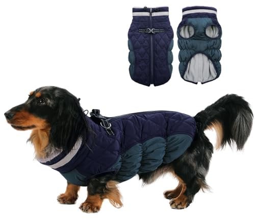 CITÉTOILE Hundemantel für Kleine Hunde Mit Geschirr - Warme, Wasserdichte Hundejacke Mit Fleece Gefüttert, Winddichte Reflektierende Winterweste für Dackel, Bulldogge
