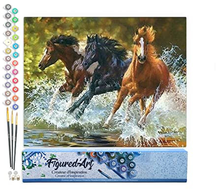 Figured'Art Peinture par Numéro Adulte Chevaux de Camargue - Activité Manuelle Kit de Loisir Créatif DIY Numéro d'Art Complet - 40x50cm sans châssis en bois