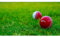 Slazenger Swing Cricket Ball White One Size