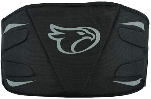 Jet Motorrad Nierengurt Herren und Damen Sicherer Klettverschluss Rückenstütze Reflektierende Einsätze Elastischer Klettverschluss ORIAN (XL, Schwarz)