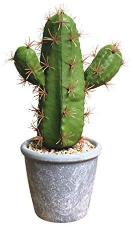 Flikool Cactus Succulentes Artificielles Plantes Grasses en Pot Faux Fleurs Artificielles pour Cadeau Maison Balcon Bureau Table Chambre Décoration (Mousse Cactus+Mélamine Plastique Pot) - 2