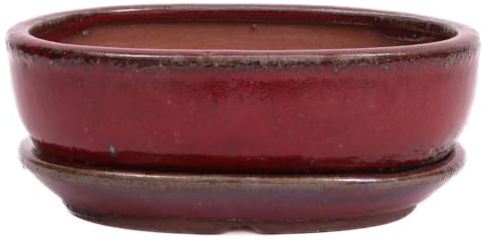 Bonsai - Schale oval 21.5 x 16.5 x 6.5 cm, Bordeaux, mit Untersetzer 23197